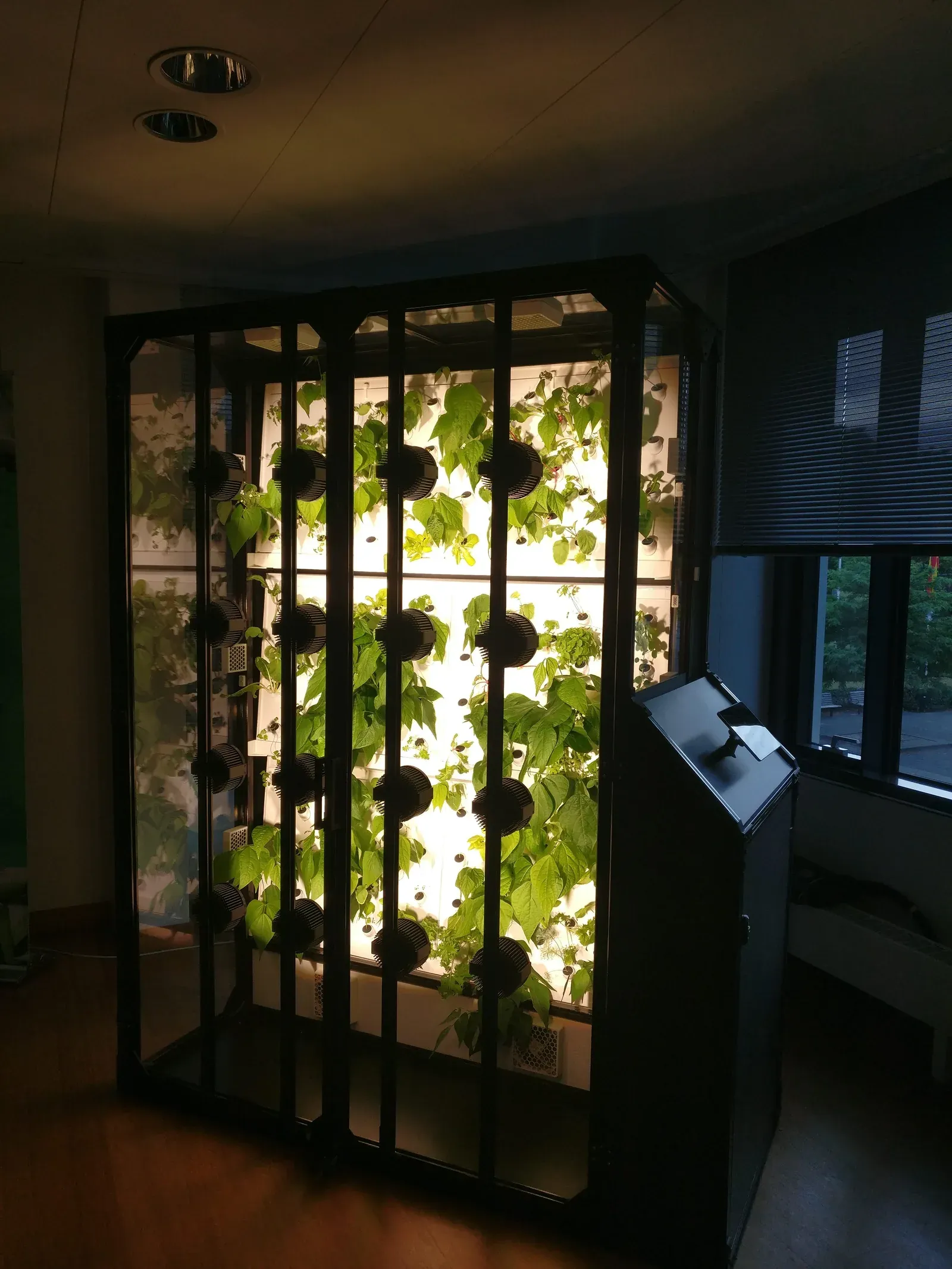 Another view of the vertical farm