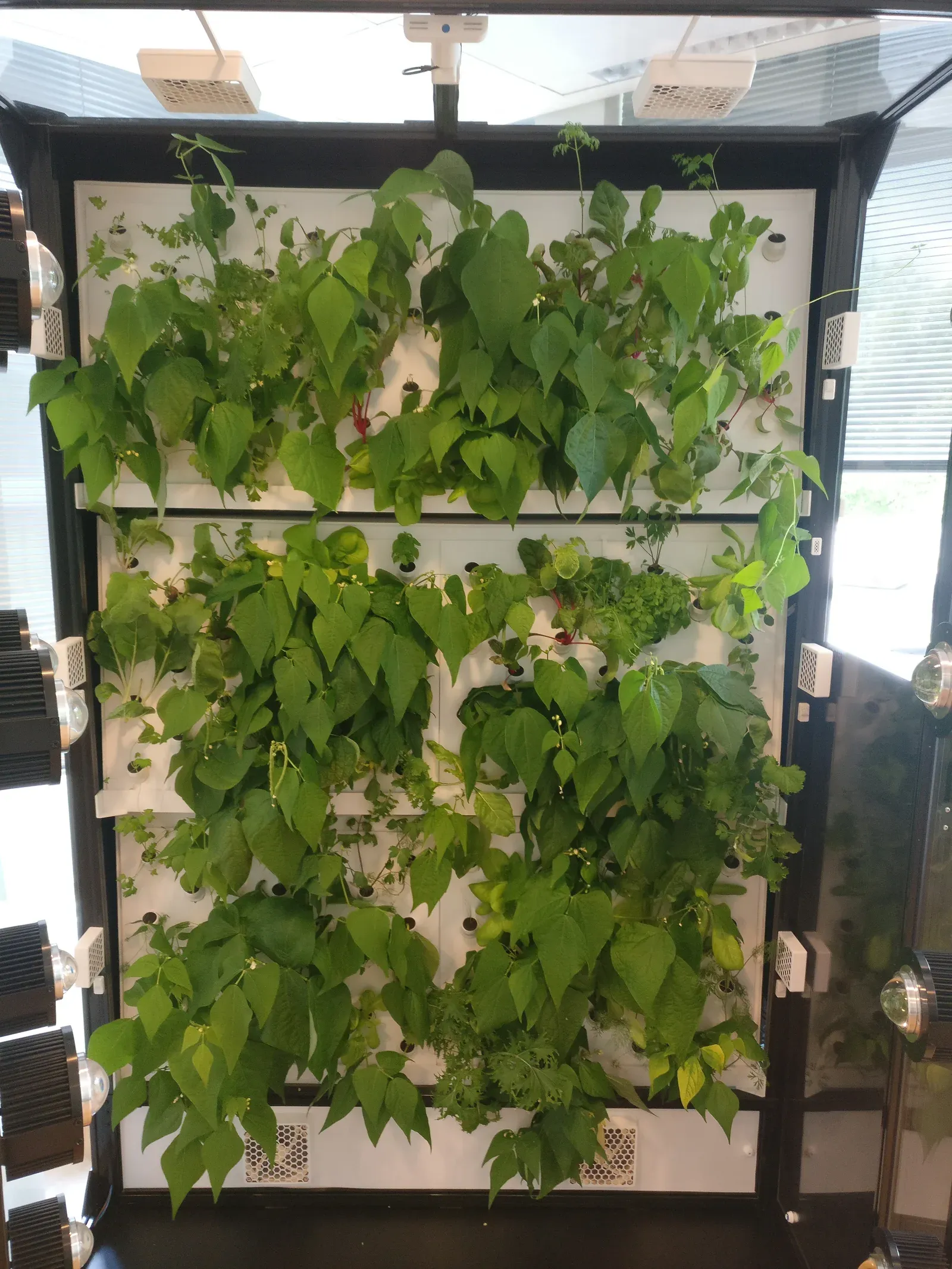 A view of a vertical farm system