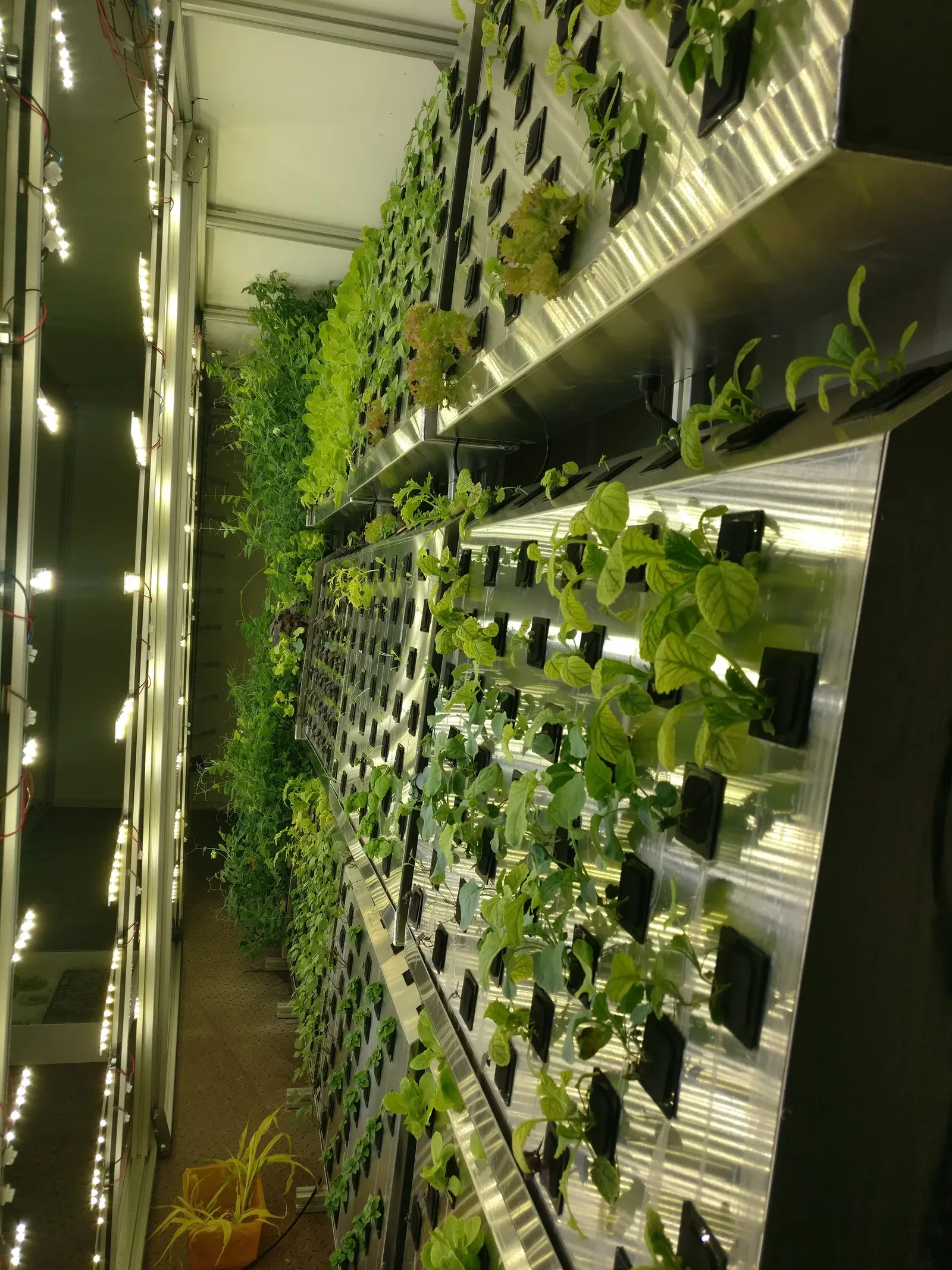 A close-up of the aeroponic nozzles