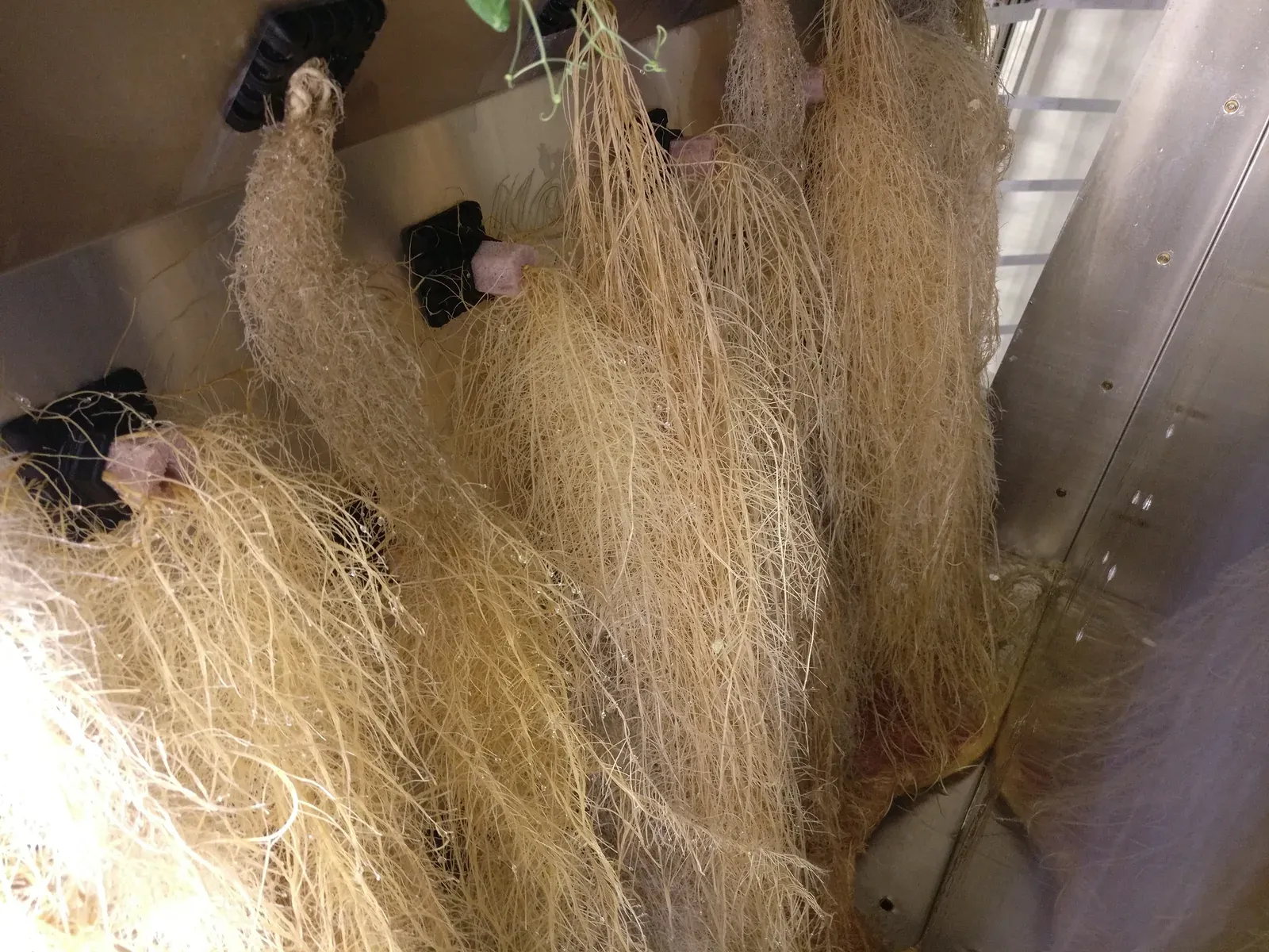 Top-down view of the system